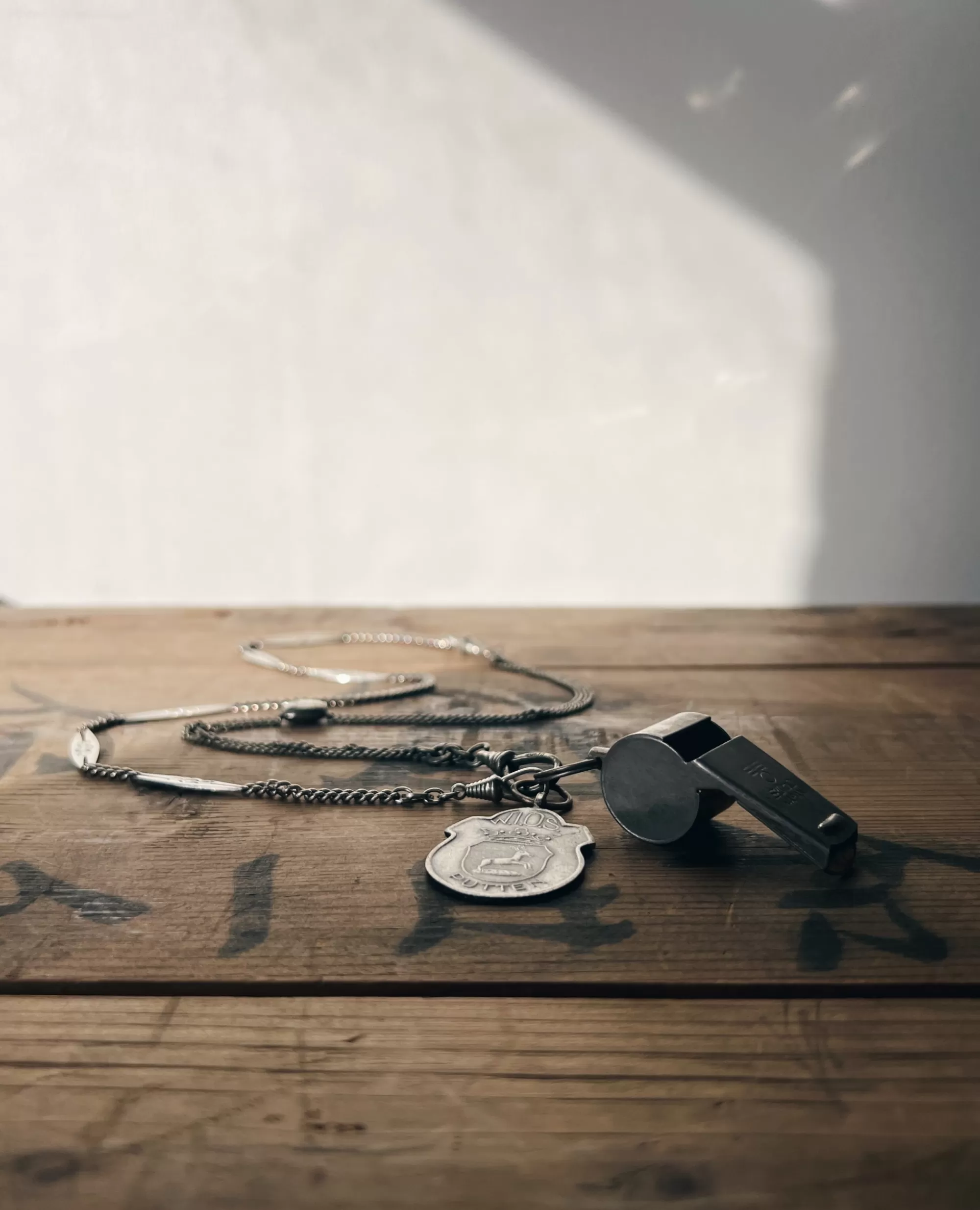 Fashion modern marcel : Vintage Whistle Necklace