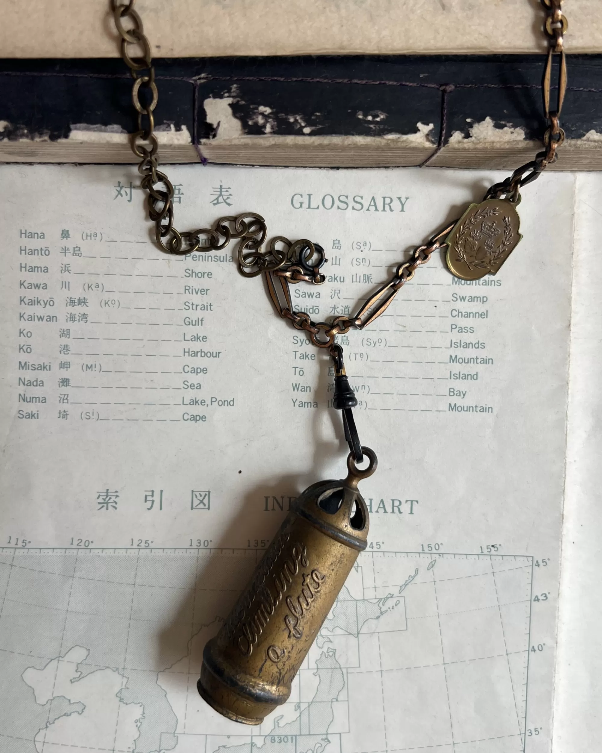 Fashion modern marcel : Vintage Whistle Necklace